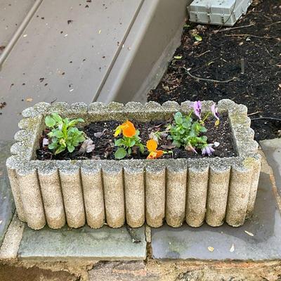 Concrete Planter #2 | Large concrete rectangular-shaped outdoor planter with scalloped edges. Plants included. - h. 7.5 x w. 12 x l. 24 in
