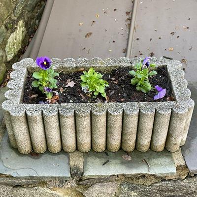 Concrete Planter #1 | Large concrete rectangular-shaped outdoor planter with scalloped edges. Plants included. - h. 7.5 x w. 12 x l. 24 in

