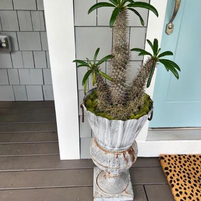Pair of planters