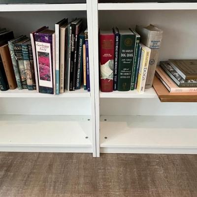 Assorted books 