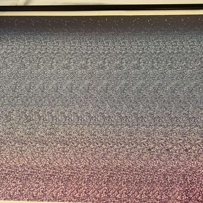 Framed Random Dot Astereogram Magic 3-D Poster 