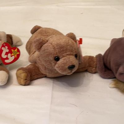 Beanie Babies- 2 Dogs, Bear, Koala. Walrus 