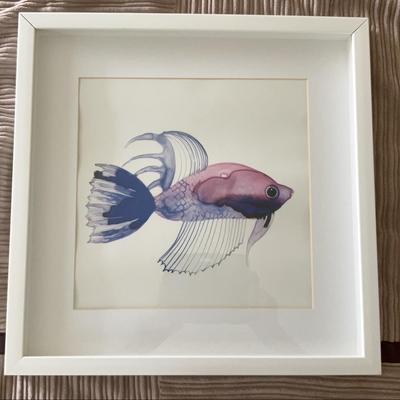 Framed And Matted Fish Print 