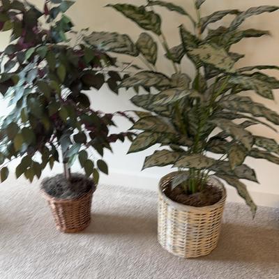 Two Artificial Tall Plants