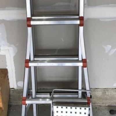 Little Giant Ladder With Tray