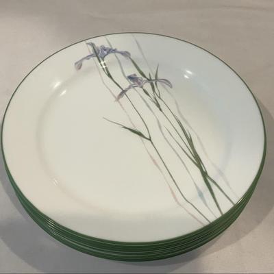 Corelle Iris Plates Set Of 10
