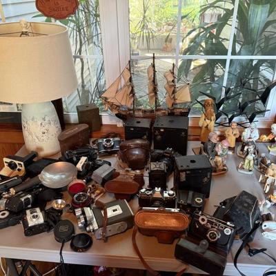 Lots of Camera Collection
