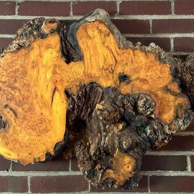 Burl wood wall hanging