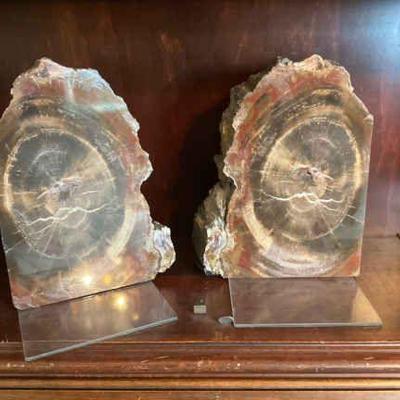 Petrified wood bookends
