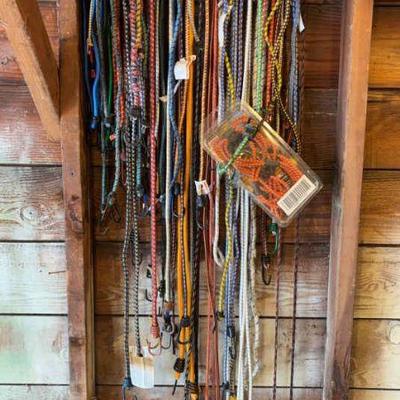 A large collection of bungee cords