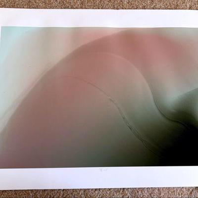 Artist signed lithograph