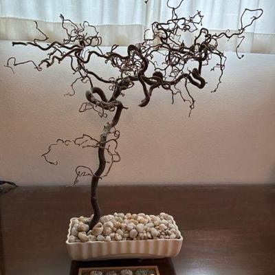 Zen garden and bonsai style tree