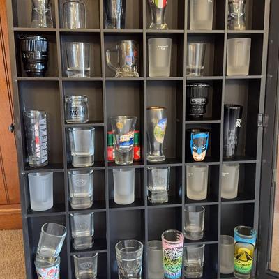 Shot Glasses And Case #1