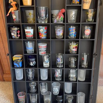 Shot Glasses And Case #2