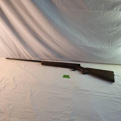 Model 74 22 Cal 