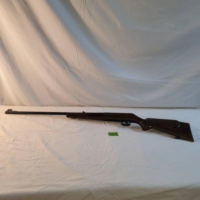German Mauser 22 Cal