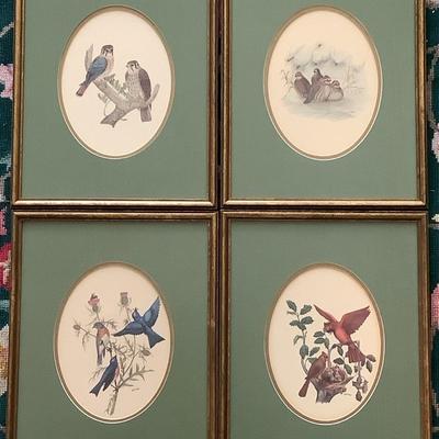 Four E.D. Williams Bird Prints 