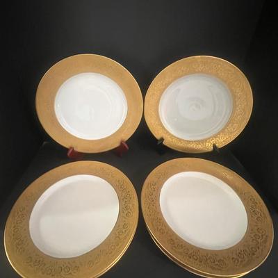 Set Of 10 Floral Rimmed Plates