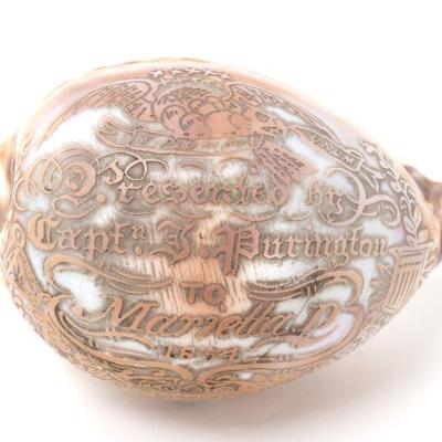 Lot 312 etched sea shell dedicated to marietta d.