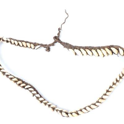 Lot 416 papua new guinea cowrie shell belt