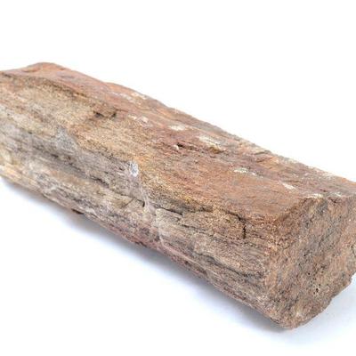 Lot 321 fine preserved section of petrified wood