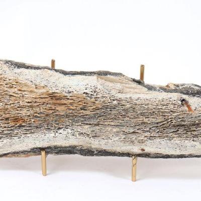 Lot 317 ancient wooly mammoth bone section wstand