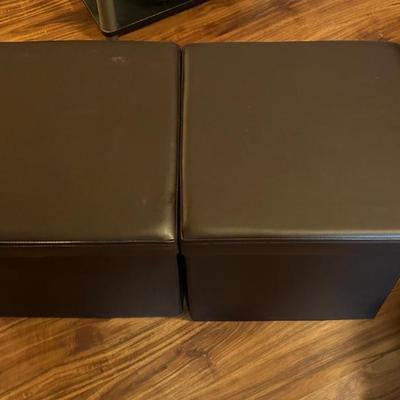 Storage Ottomans 