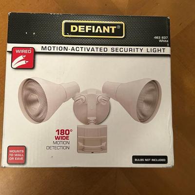 Motion Activated Security Light 