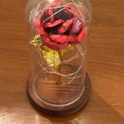 Rose in Glass Dome w/ LED Lights