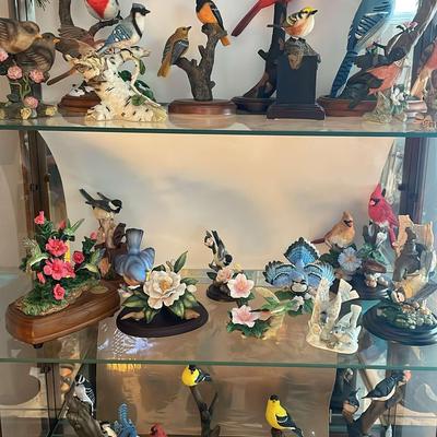Bird Collection 