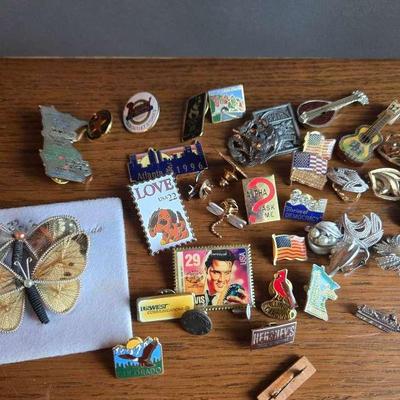 Miscellaneous Pins and Clip-on Earrings 