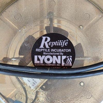 Lyon reptile incubator