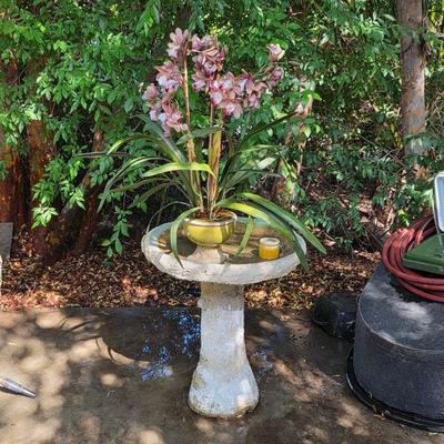 Bird bath and vintage planters and pots