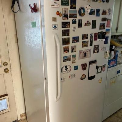 Standing freezer