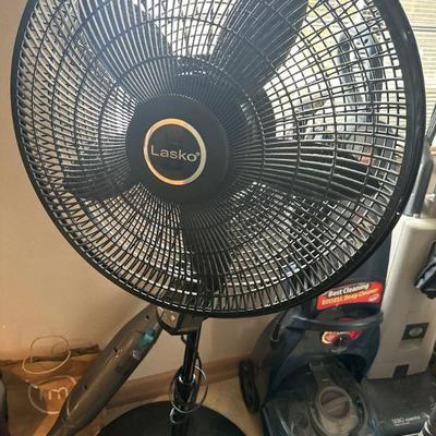 Fans