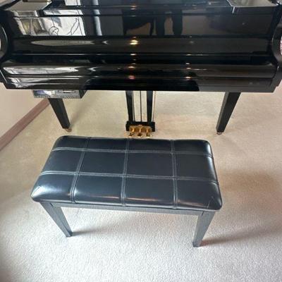 Schumann player piano