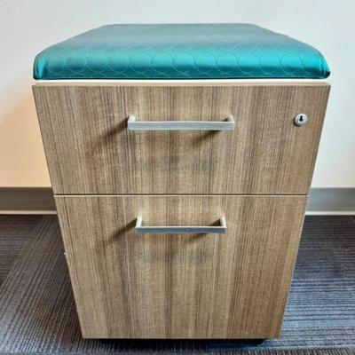 Watson 2-Drawer Mobile File Cabinet w/ Padded Seat #1	