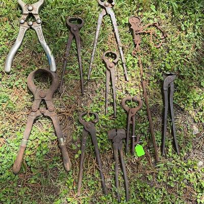 Bull Castration And Other Tools