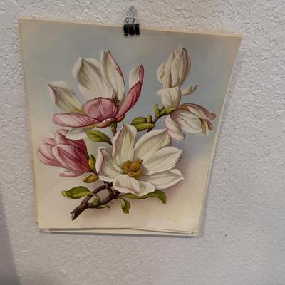 Vtg 3pc 50's wood Framed Lithgraph Prints Pink White Magnolia Dogwood 