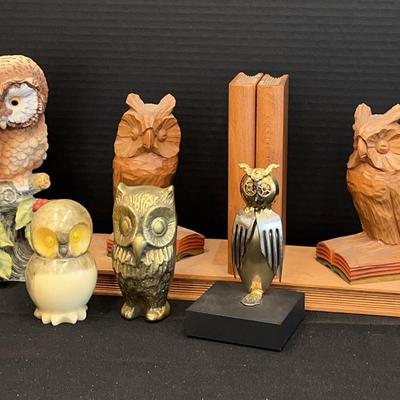 For The Owl Lover