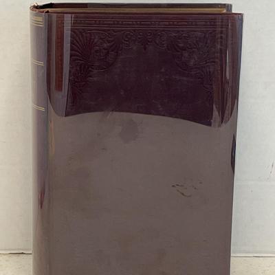 Darkness And Daylight In New York By Helen Campbell (1892) Cheap Edition