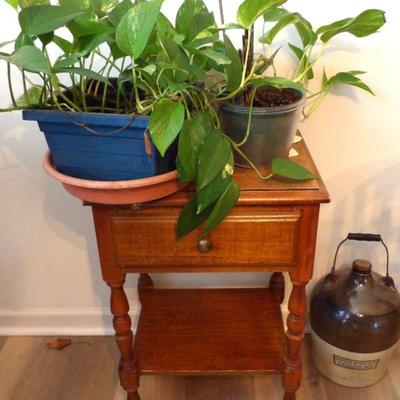 Liver Plants