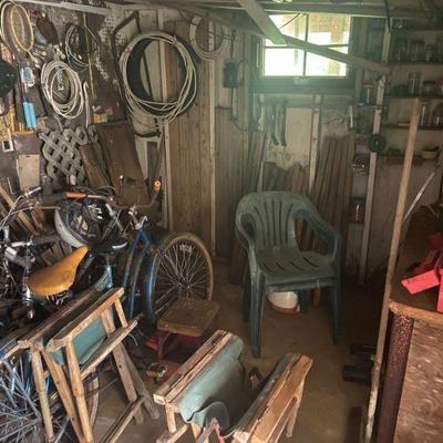 Picker's paradise in the shed