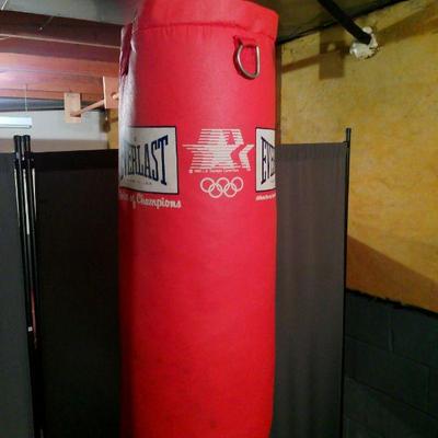 Sale Photo Thumbnail #15: Heavy Bag