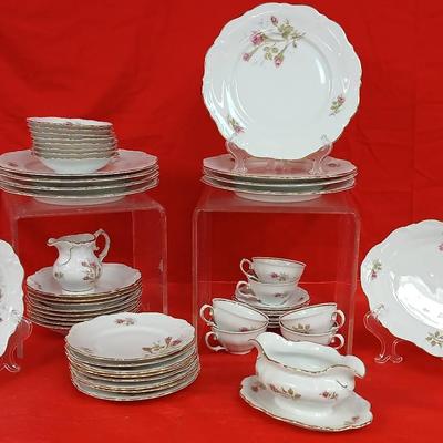Wintering Bavarian China from Germany