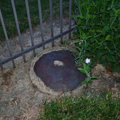 930 back yard