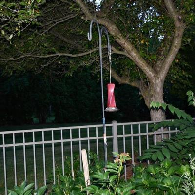 925 back yard
