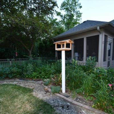 931 back yard
