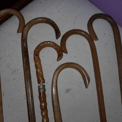 Leonis personal canes