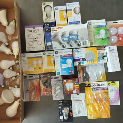 Large Assortment Of Various Sized Light Bulbs